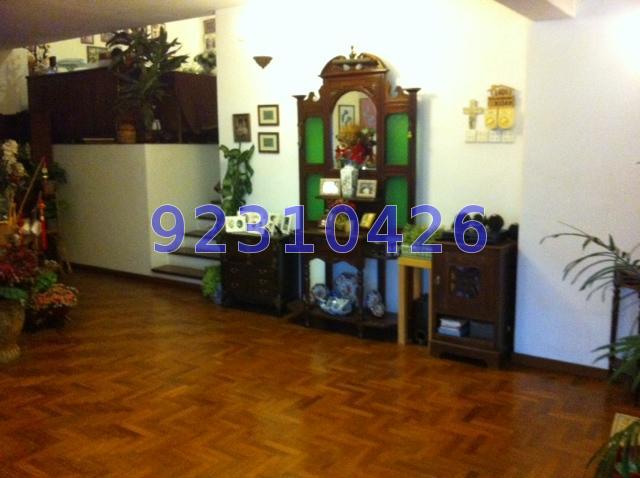 Pandan Valley (D21), Condominium #73366722